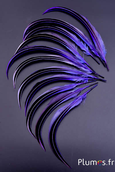 Canard Mandarin - 15-20 cm - violet